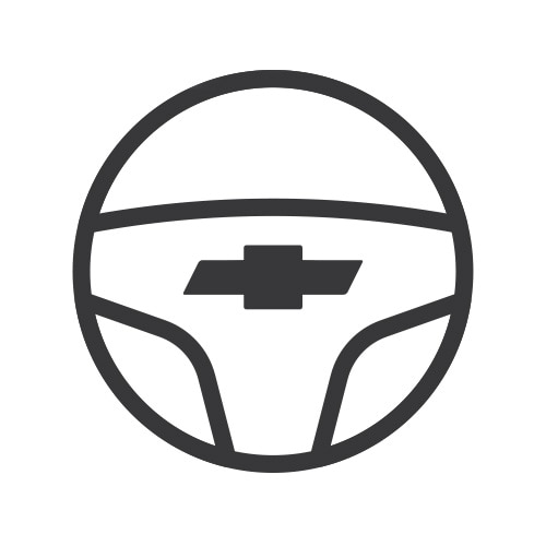 Dirección electrónicamente asistida (EPS)